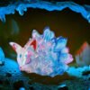 Crystal Fox Crystal Fox