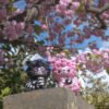 RocknWool - Pink RocknWool - Pink